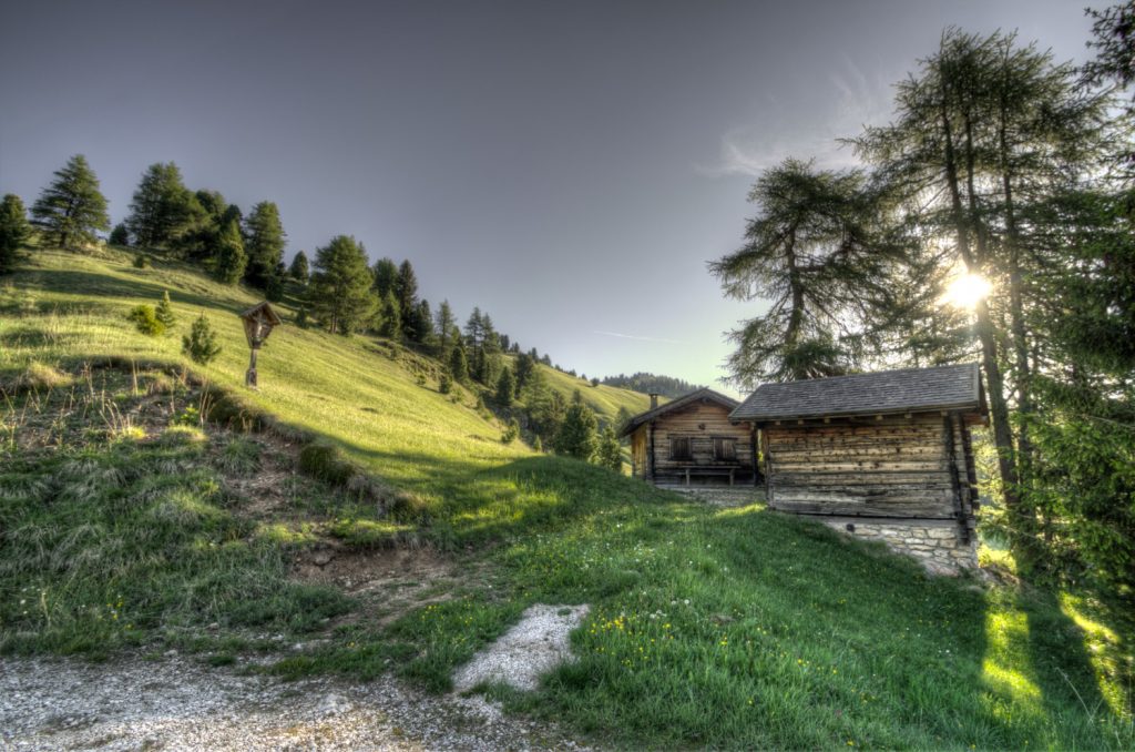 Mountain View Cabin